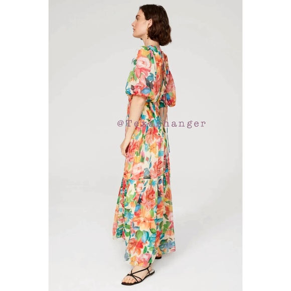 NWT One33 Social The Francesca Floral Maxi Gown Size 4 - Picture 7 of 16